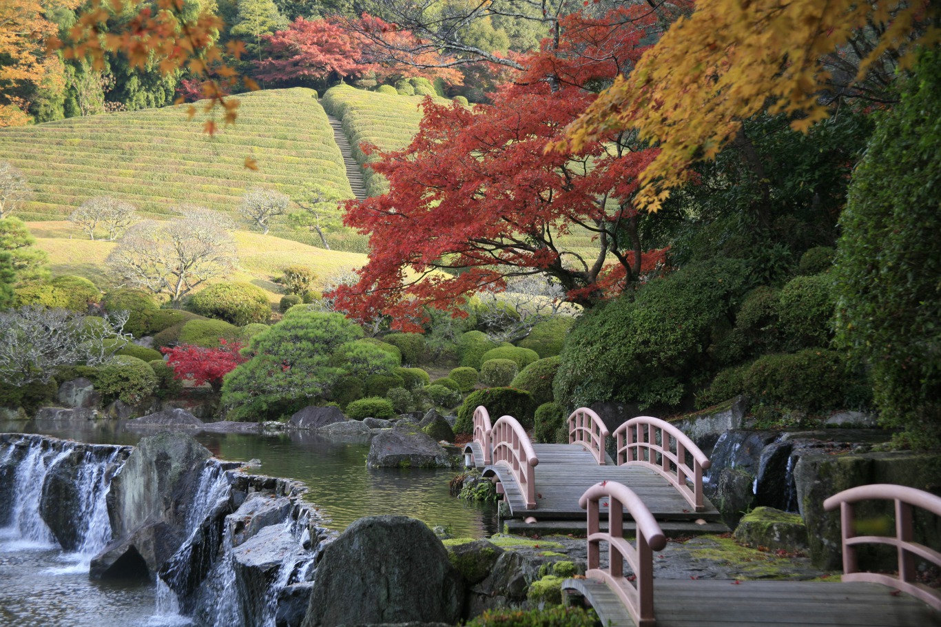 紅葉まつり